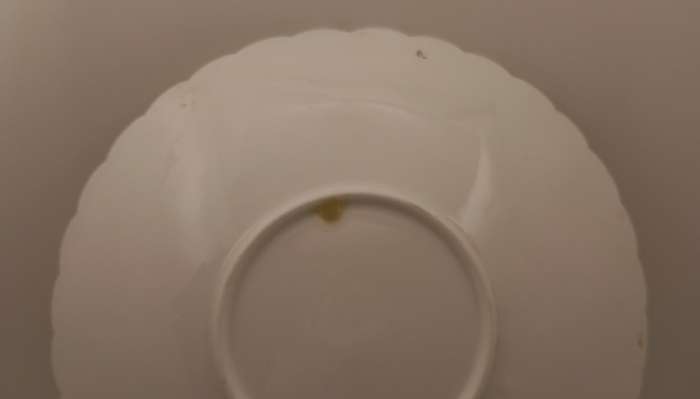 Vintage Porcelain Plate 229mm ( no makers stamp)