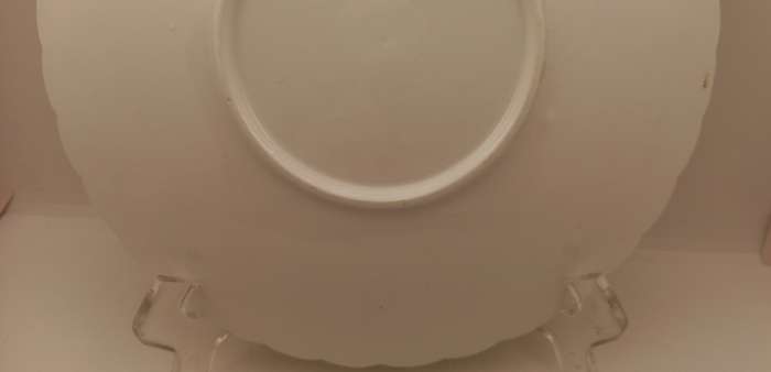 Vintage Porcelain Plate 229mm ( no makers stamp)