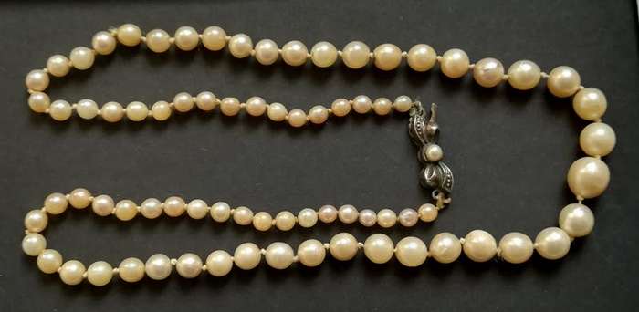 PEAR NECKLACE GRADUATED AND KNOTTED *STERLING SILVER CLASP* 450MM