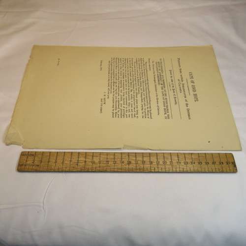 1872 Cape of Good Hope petition of certain inhabitants of Calvinia on a road over the Bokkeveld