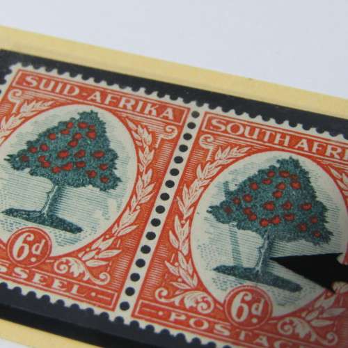 SG 61-61a South Africa six pence falling ladder variety flaw - excellent mint pair