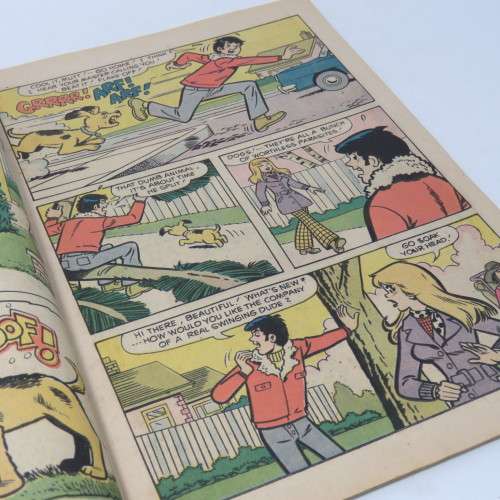 Archie Series The Mad House Glads No 94