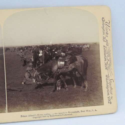 Boer War stereoscope card #113 - Prince Albert`s Horse resting on the march to Kroonstadt