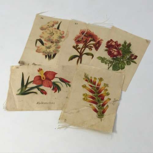 Lot of 17 Flower silk cigarette cards - vintage
