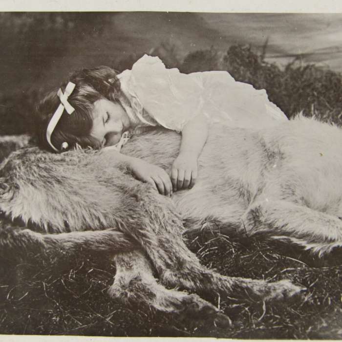Antique postcard of little girl and Irish Wolfhound