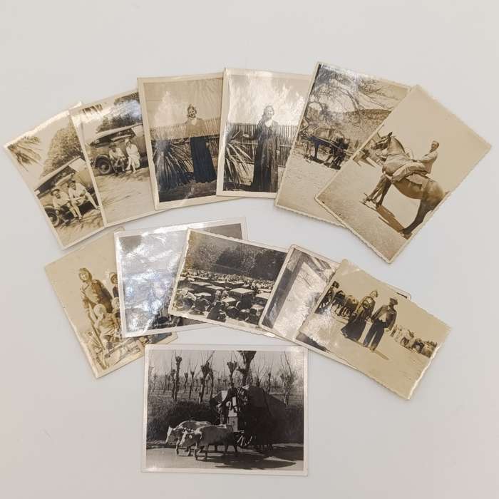 Lot of 12 antique photos of people, animals, and vehicles