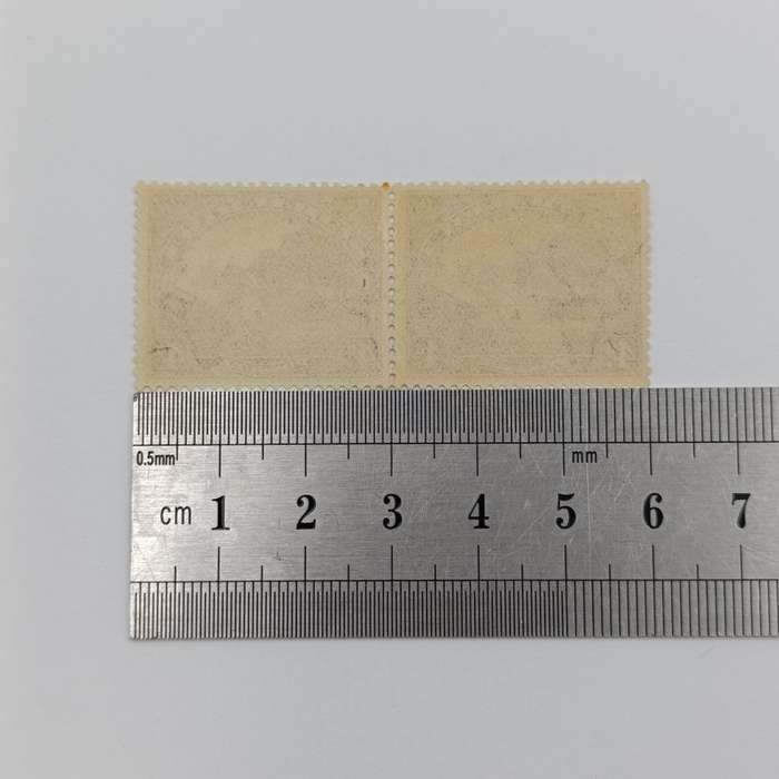 SACC 35 - Pair mint hinged - excellent copy