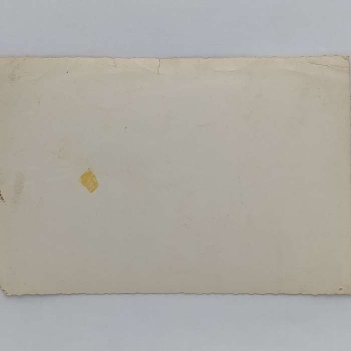 Antique Studio photograph of Grandma with daughter/s and grandchildren - Set in Burnley area