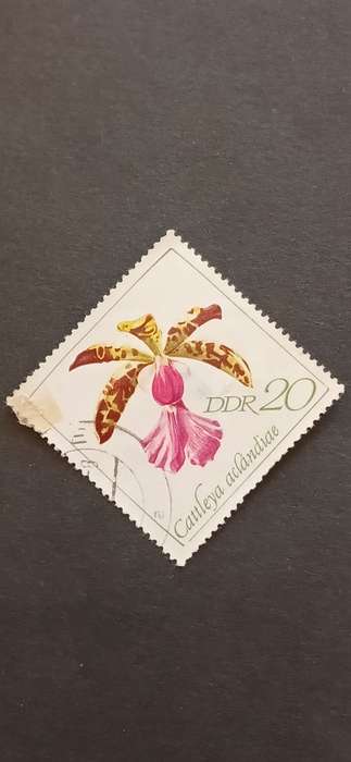 DDR 1968 ORCHIDS