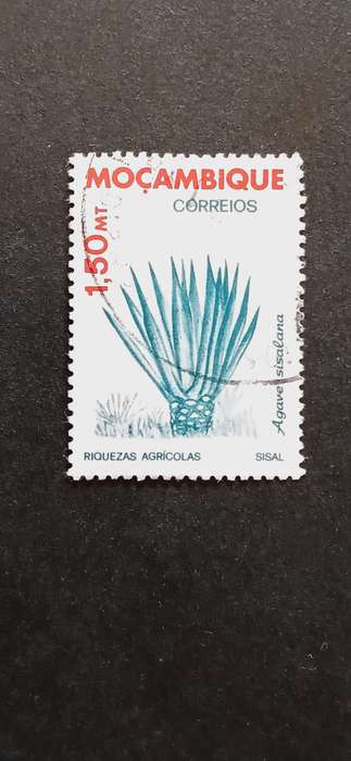 MOZAMBIQUE 1981 AGRICULTURAL RESOURCES