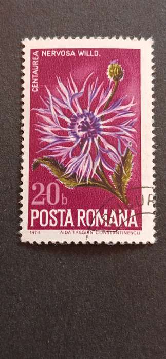 ROMANIA 1974 NATURE PROTECTION- PLANTS