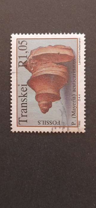 TRANSKEI 1992 FOSSIL SHELLFISH