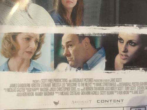 DVD - Welcome To The Rileys - James Gandolfini Krisen Stewart Melissa Leo