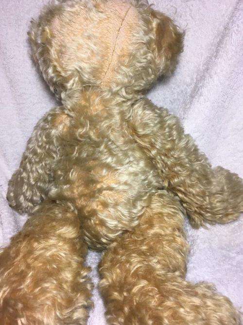 Vintage Mohair Jointed Teddy Circa 1960's / 70's +-55cm