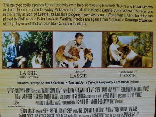 DVD - Lassie Trilogy ( Lassie Come Home, Son Of Lassie, Courage of Lassie)