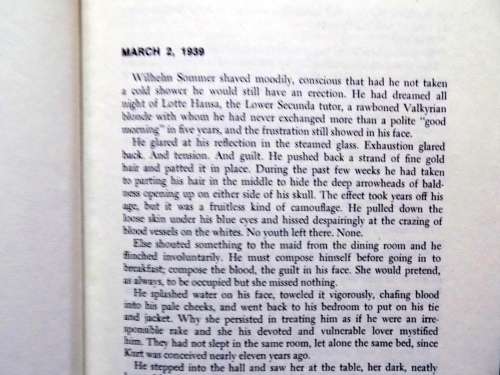 The shining Day - Frank Ross - Hardcover