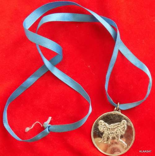 Sport medal - Kick Boxing -  (not inscribed) - On blue ribbon