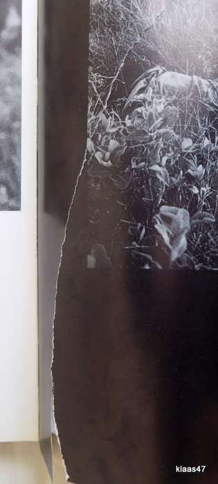 Savimbi`s Angola - Cloete Breytenbach - Hardcover