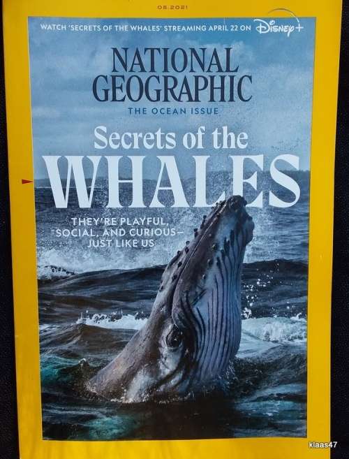 National Geographic Magazine - Secrets of the Whales - 05-2021