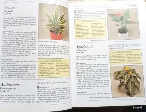 Colour Dictionary of Houseplants - Peter McHoy - Hardcover