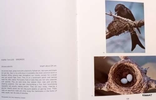 South Africa ... a bird lover`s paradise - W. Nichol - Hardcover