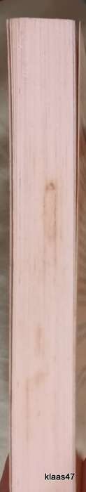Downsize This! - Michael Moore - Paperback