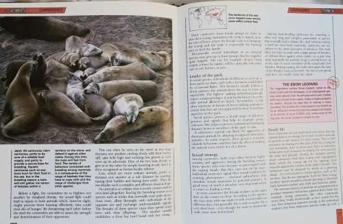 The Illustrated Encyclopedia of Wildlife - Vol 1 - Hardcover 1988