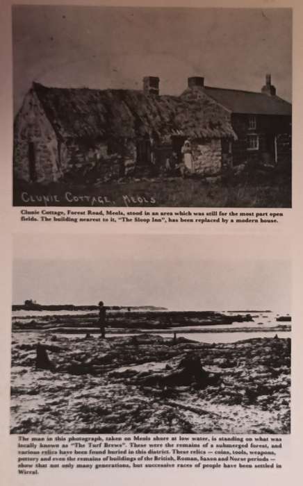 More Pictures from the Past - Derek Young - Softcover