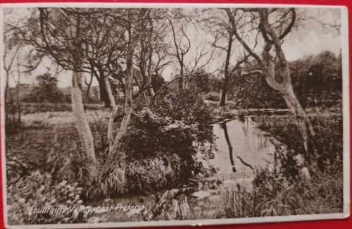 Vintage Black and White Postcard - Fountains Valley near Pretoria - Unused