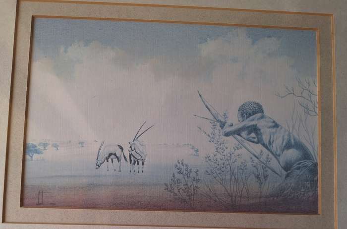 FRAMED PRINT `CAPE DESERY LANDS` BY MIKE ELLIOTT