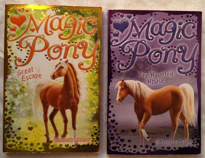 Magic Pony by Elizabeth Lindsay The Haunted House and Great Escape