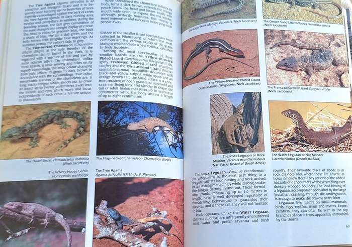 Pilansberg: Jewel of Bophuthatswana by Michael R Brett Hardcover 1989