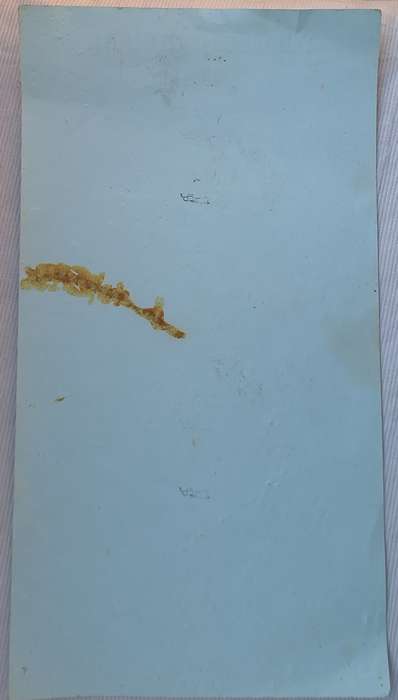 Nemesia Hotel *TYYY Darling Christmas 1978 Menu