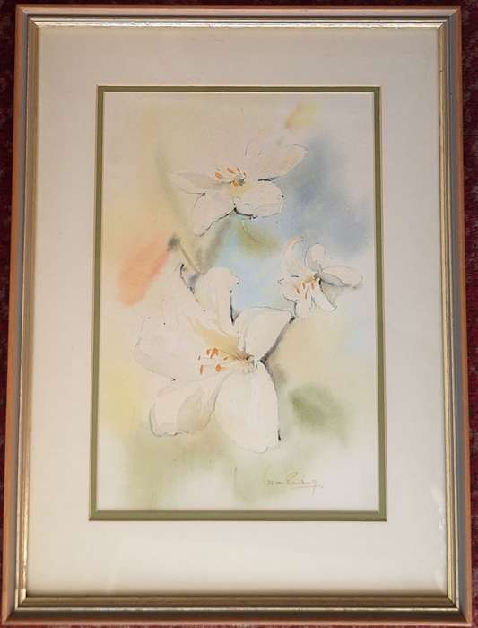 Framed Watercolour of Flowers by Derric van Rensburg