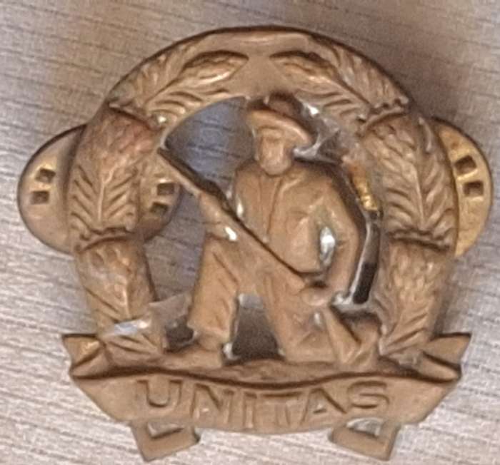 Citizen Force Infantry (Skiet Kommando) Gilding Metal Collar badge Post 1963