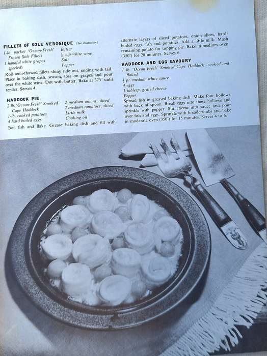 A Quick Cooking Guide for the Busy Housewife by Irvin & Johnson Ltd