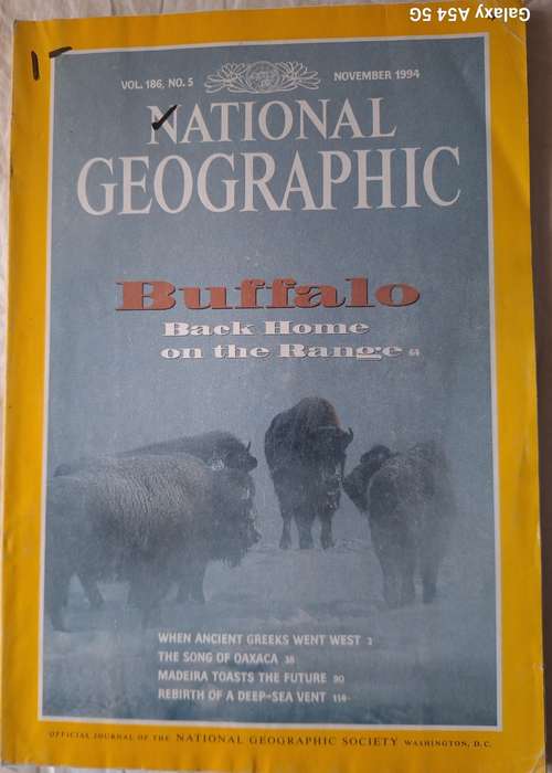 National Geographic November 1994 Buffalo: Back Home on the Range
