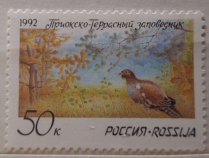 Russia Soviet Union 1992 Western Capercaillie Nature Reserve 1 Mint stamp