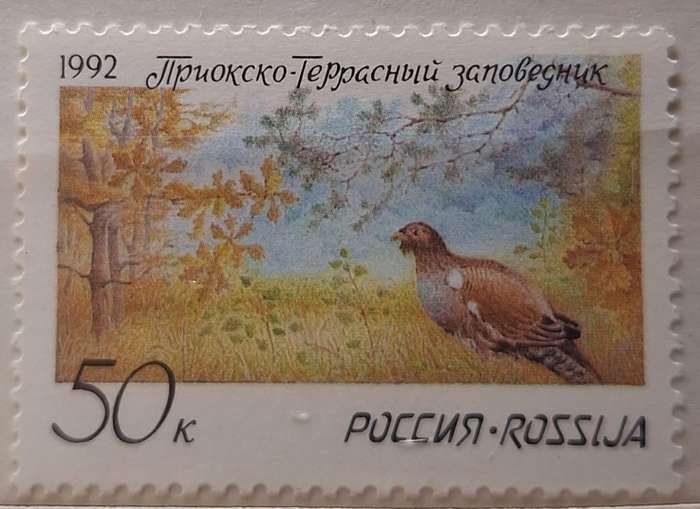 Russia Soviet Union 1992 Western Capercaillie Nature Reserve 1 Mint stamp