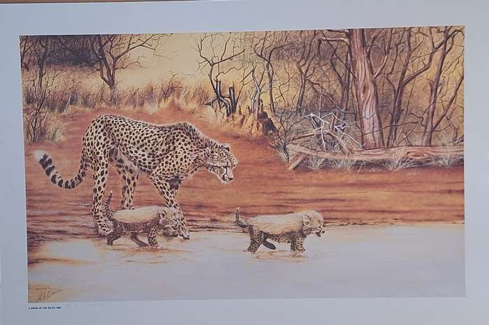 Unframed Signed Print A Drink in the Wilds 1986 (Cheetah) by Rob Crombie