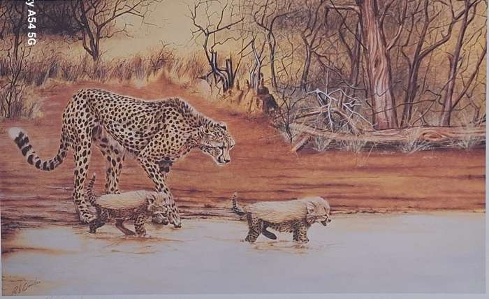 Unframed Signed Print A Drink in the Wilds 1986 (Cheetah) by Rob Crombie