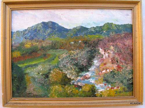 OIL ON BOARD : J DU PREEZ : FRAMED SIZE 37.5x28.5cm