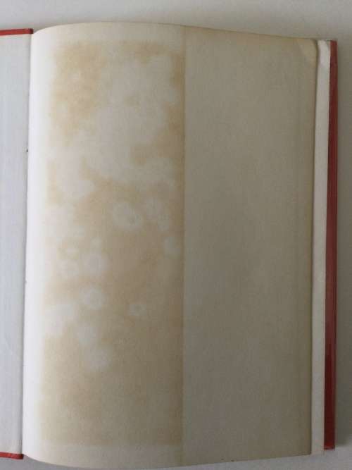 War In Africa, AL J Venter, 1973, first edition