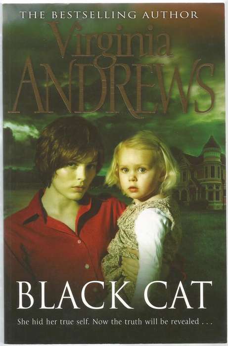 Black Cat - Virginia Andrews 2006 Edition 375 pages