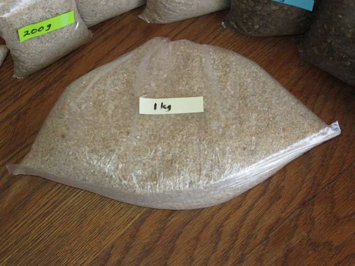 Silica Sand. Decorative top dressing for plants or mixing for cacti and succulents for aeration. 1kg