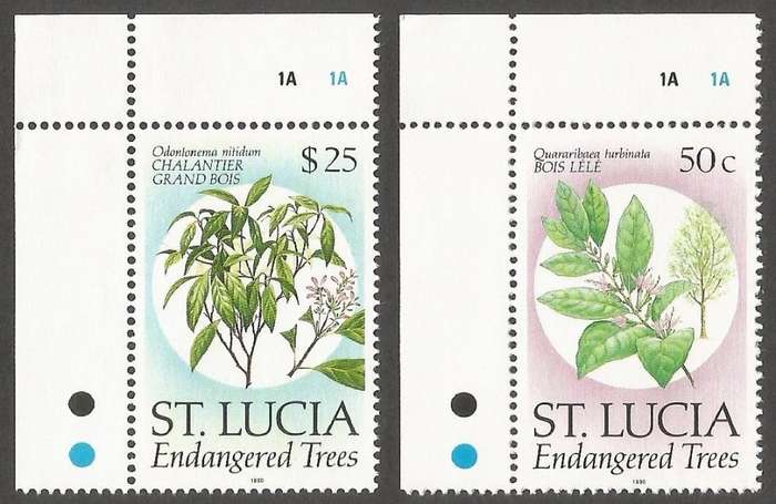 St. Lucia 1990 - Endangered Trees- MNH