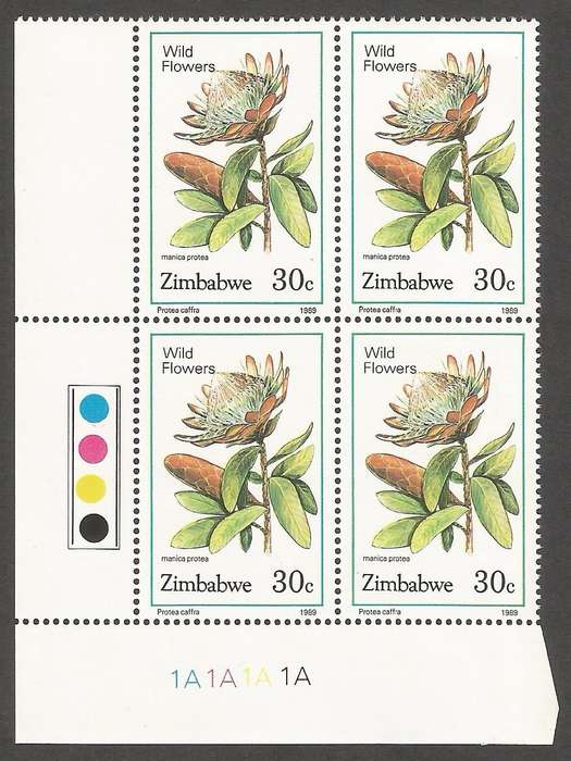 Zimbabwe 1989 Wild Flowers Control Blocks