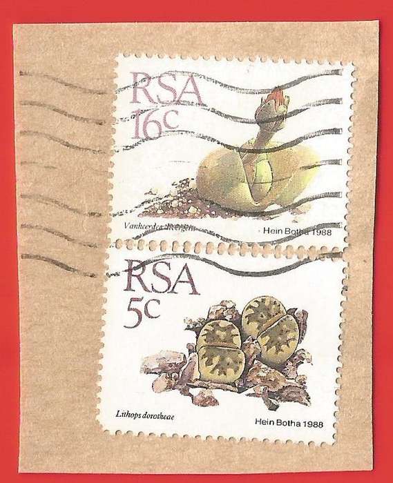 Republic of South Africa- Used- Cancel- Postmark- On Paper-Thematic-Flora