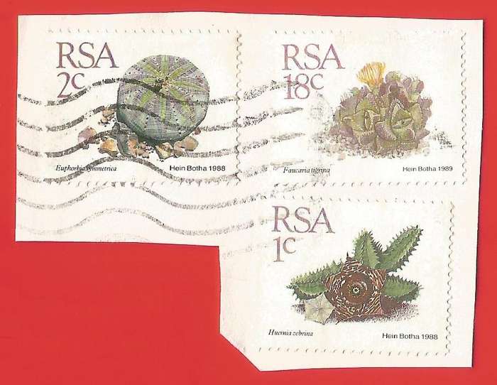 Republic of South Africa- Used- Cancel- Postmark- On Paper-Thematic-Floral
