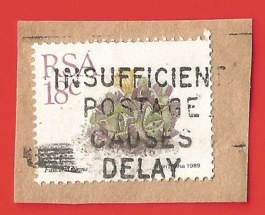 Republic of South Africa- Used- Cancel- Postmark- On Paper-Thematic-Floral